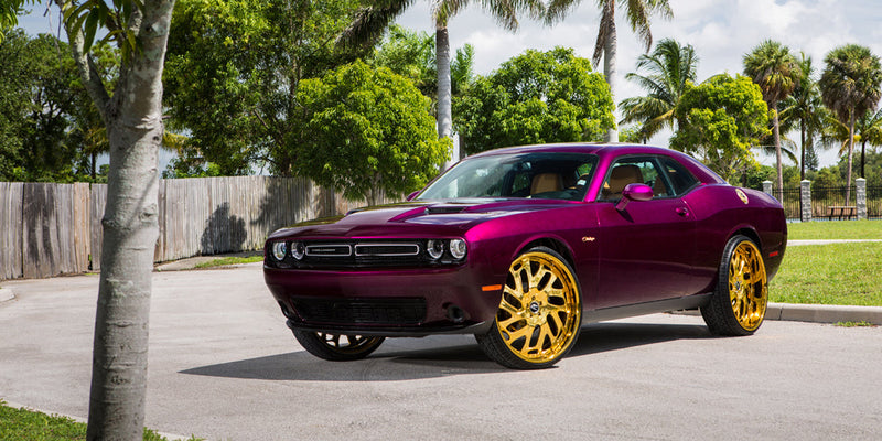 Dodge Challenger on Biscayne - Amani Forged Wheels