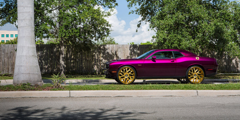 Dodge Challenger on Biscayne - Amani Forged Wheels