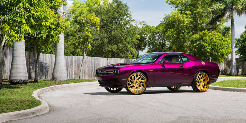 Dodge Challenger on Biscayne - Amani Forged Wheels